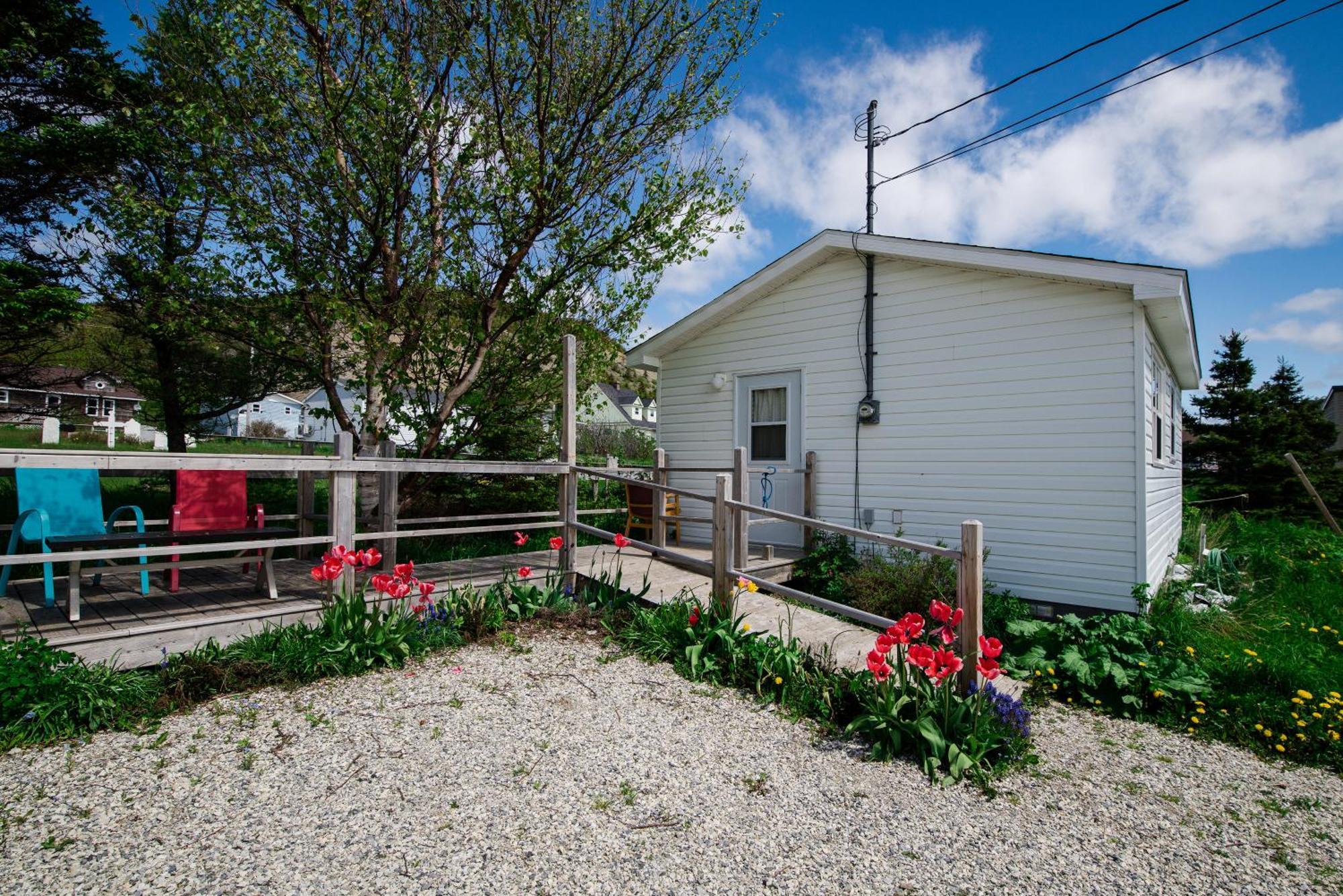 Out East B&B - Norris Point מראה חיצוני תמונה