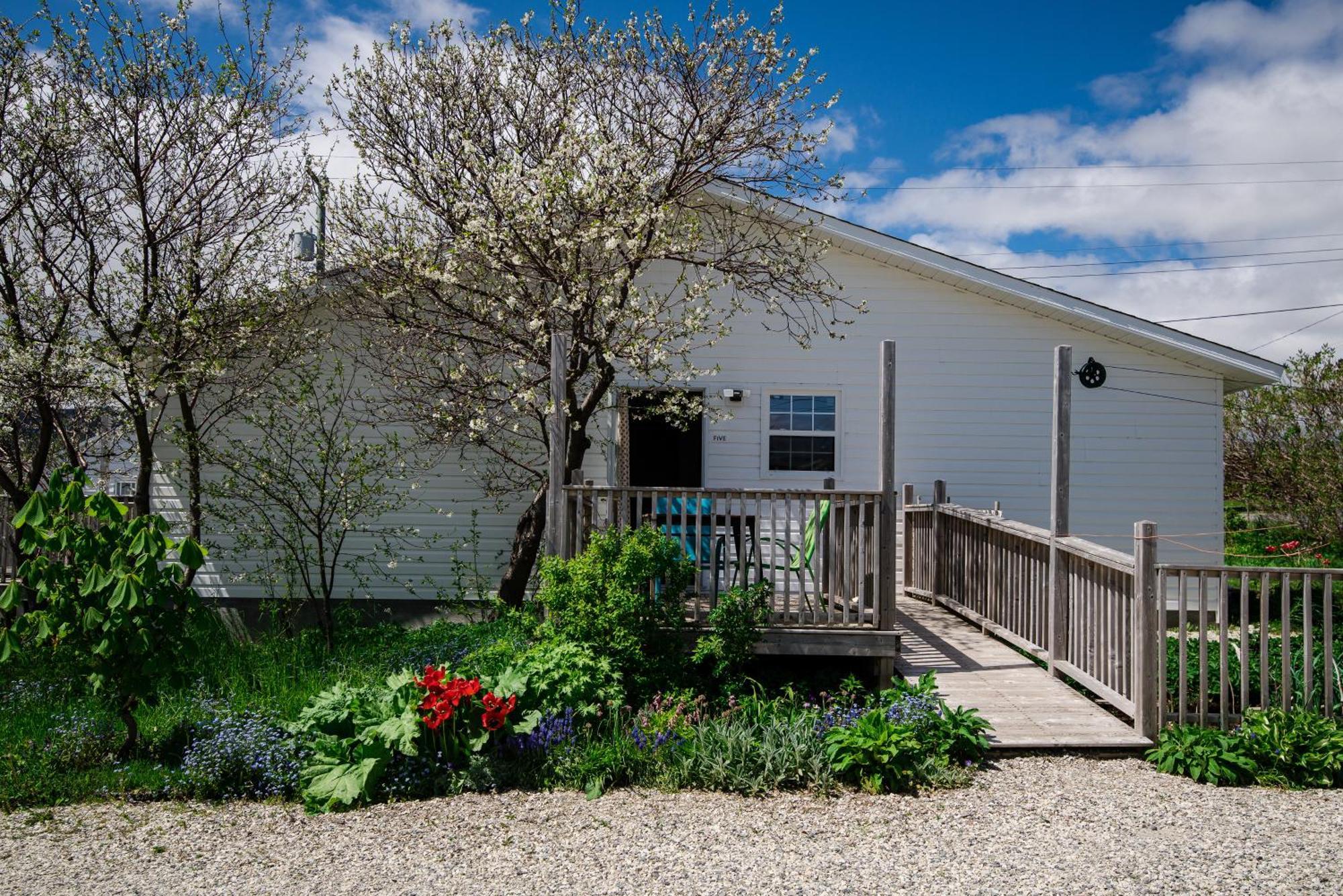 Out East B&B - Norris Point מראה חיצוני תמונה